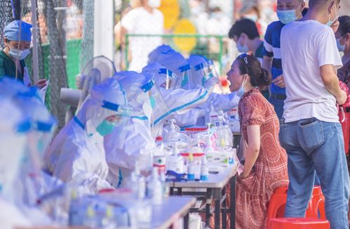 全国被执行人，法律的天平与社会的镜子