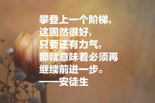 法律之光，经典名言警句的智慧与启示