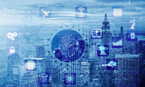 法律格言的智慧，照亮正义之路的灯塔