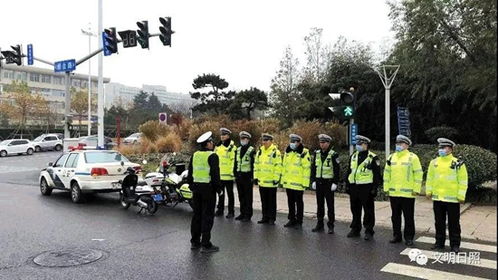 日照交警违章查询，守护安全，便捷出行