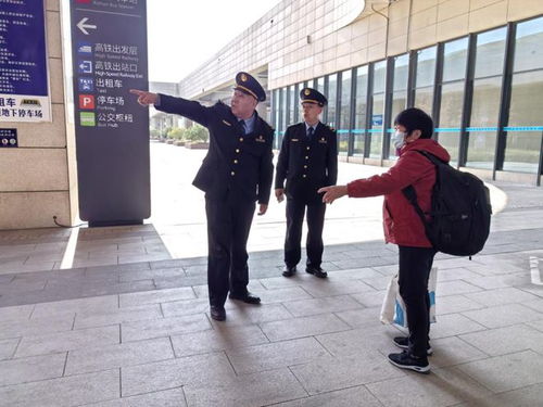 日照交警违章查询，守护安全，便捷出行