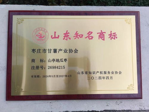 驰名商标查询指南，品牌保护与市场竞争力的双重利器