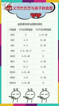 血型与亲子鉴定，科学与家庭关系的桥梁