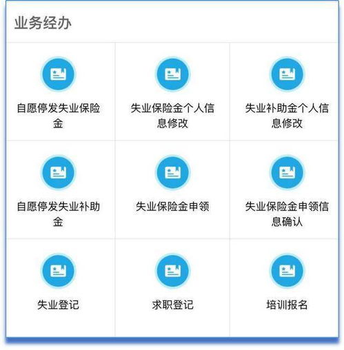 成都社保查询个人账户，一站式指南