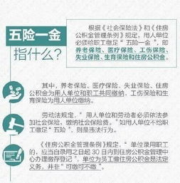 五险一金全面解读，保障与福利的基石
