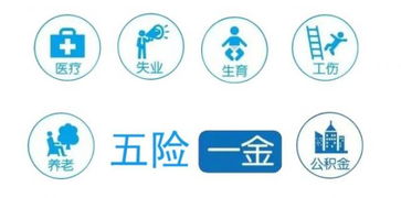 五险一金全面解读，保障与福利的基石