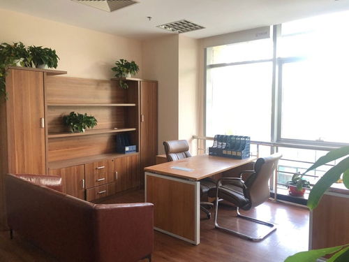 办公用房租赁，策略、技巧与市场洞察