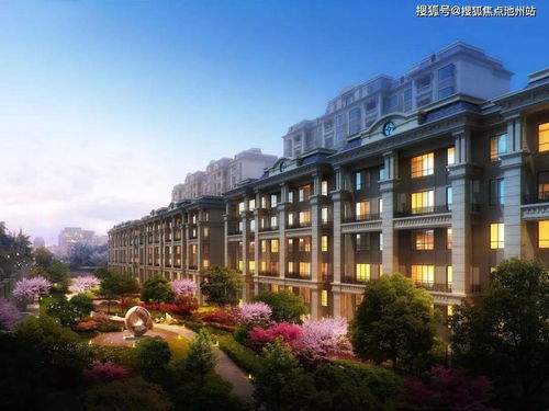 紧急时刻的守护者，大钟寺派出所电话的重要性与使用指南