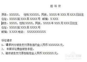 民事判决书格式详解：从定义到实践，轻松掌握标准文书规范