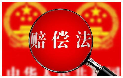 国家赔偿法：保障公民权益，轻松维权指南