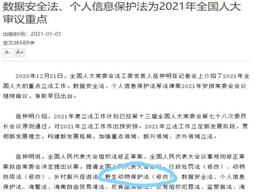 民诉法司法解释全解析：从诞生到2023年修订，助你轻松掌握法律导航手册