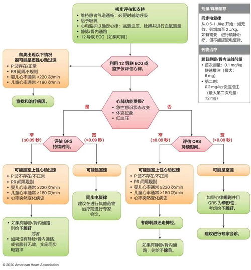 司法鉴定程序全解析：从启动到采信的完整指南，轻松掌握专业流程与费用