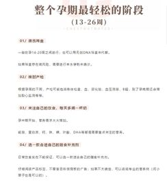司法鉴定程序全解析：从启动到采信的完整指南，轻松掌握专业流程与费用