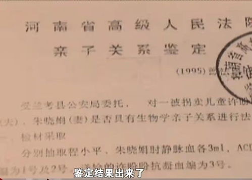 不是怀疑，而是安心—一份关于亲子鉴定的理性指南，当爱需要科学确认时，我们该如何温柔而坚定地迈出这一步？