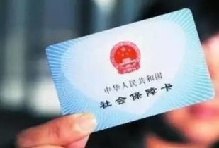 医保卡里的‘小金库’你查过余额吗？沈阳人必懂的医保卡余额查询指南（手把手教你看懂每一分救命钱）
