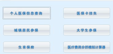 医保卡里的‘小金库’你查过余额吗？沈阳人必懂的医保卡余额查询指南（手把手教你看懂每一分救命钱）