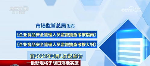 指尖上的正义—详解检察院举报网站，如何安全、有效、有温度地行使公民监督权