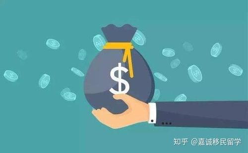 麦子资产立案侦查，普通投资者该如何冷静应对？一份写给焦虑中你的理性指南